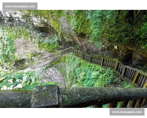 央视盯上开阳猴耳天坑!出片率 90%,这 “飞翔” 太上头 央视盯上开阳猴耳天坑!出片率 90%,这 “飞翔” 太上头