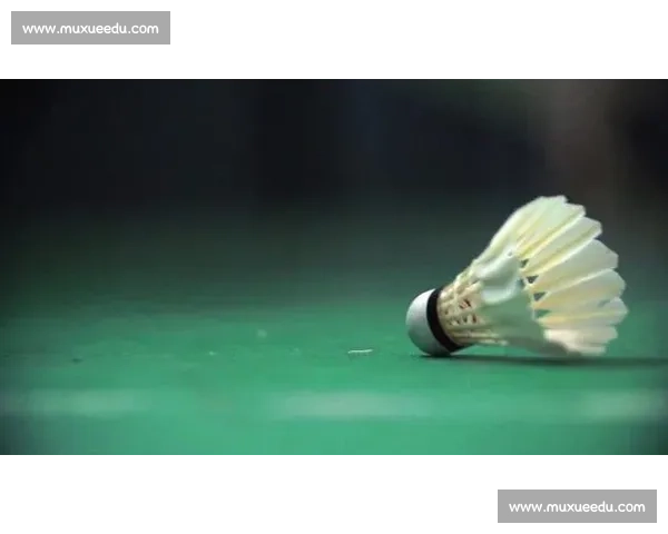 慢镜头抓不住的扣杀：时速 493 公里有多快？