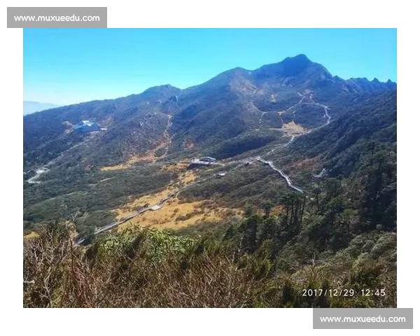 伯比克对阵阿里的世纪拳坛对决与传奇意义历史背景战术博弈全景解析