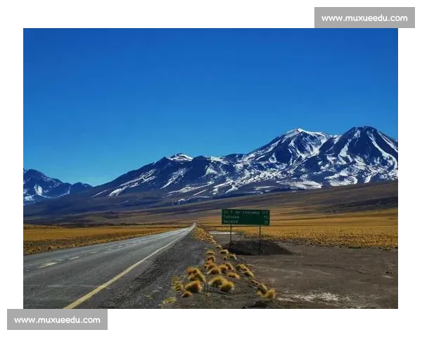 南美劲旅正面对决秘鲁与智利国家队焦点关键之战全景前瞻解析预测