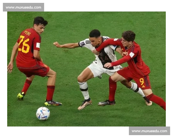 日本vs日本背后的历史文化政治经济竞争与当代社会镜像深度解析