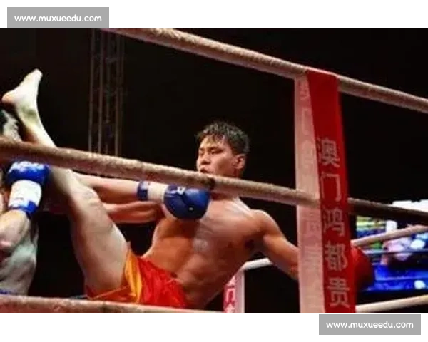 柳海龙vs巅峰对决全景解析中国格斗黄金时代记忆传奇人物成长轨迹